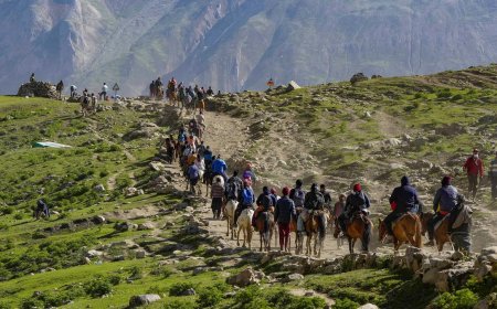 Another batch of over 3,000 pilgrims leaves for Amarnath yatra