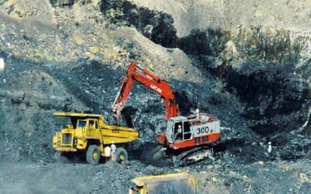 CIL production increased by 13.4% in July; NPS supplies increased by 59%, shares up 4.5%