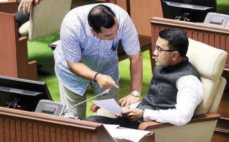 Will set up task force within a week to interact with potential investors: Mauvin