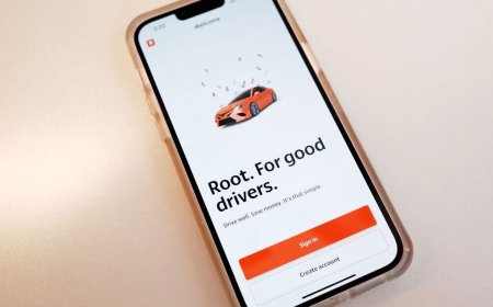 Curb Your AI Enthusiasm: Just Look at the Insurtech Carnage