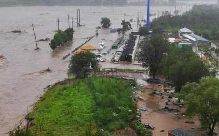 China's northeast inundated in Doksuri's wake