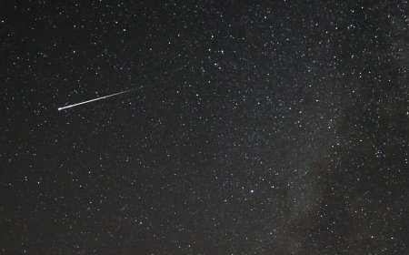 Perseid meteor shower 2023: What is it, when and where to watch. Details here