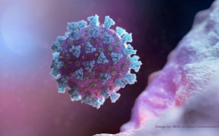 WHO classifies Covid EG.5 as ‘variant of interest’. Here's what you should know