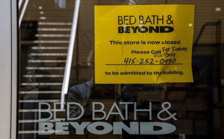 Meme stocks are back from the dead