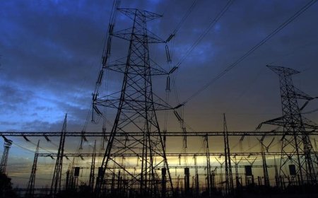 Mint Explainer: Why is India's power demand scaling new highs?