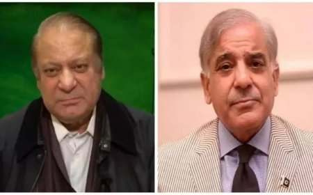 Former Pakistan PM Shehbaz Sharif reaches London; meeting with Nawaz Sharif scheduled