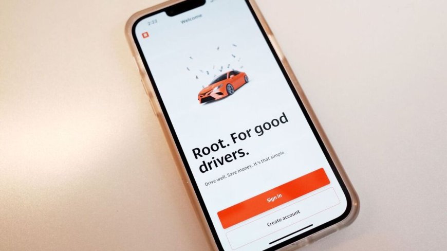 Curb Your AI Enthusiasm: Just Look at the Insurtech Carnage