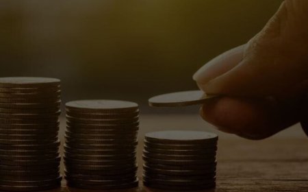 Basilic Fly Studio IPO opens today: GMP, subscription status, other details