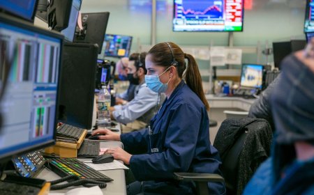 Small-cap stock under  ₹5: Penny stock Vikas Ecotech jumps as board approves  ₹34 crore fund raise