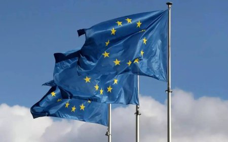 European Union official from Sweden is imprisoned in Iran for more than 500 days