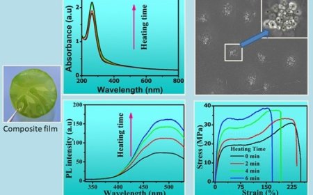 Scientists fabricated optically active flexible biodegradable polymer-nanocomposite films