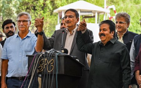 'Treated like kings': President Roger Binny says Pakistan ‘went out of the way' to make BCCI delegates comfortable