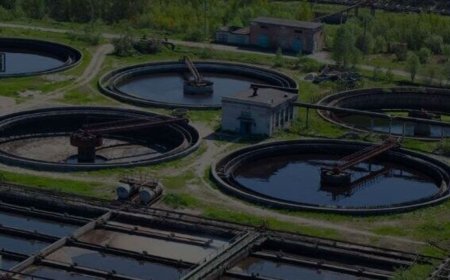 EMS IPO: GMP, subscription status review, other details. Apply or not?