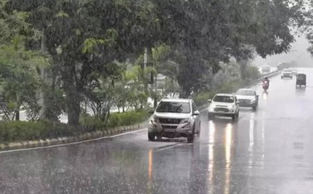 Expect light rain in Delhi in the evening