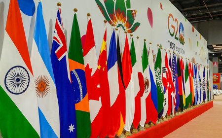 Expect G20 to help resolve Russia-Ukraine conflict, says South Africa