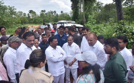 Real development of Vizianagaram, Parvathipuram districts all thanks to YSRCP regime: Andhra Pradesh Deputy Chief Minister