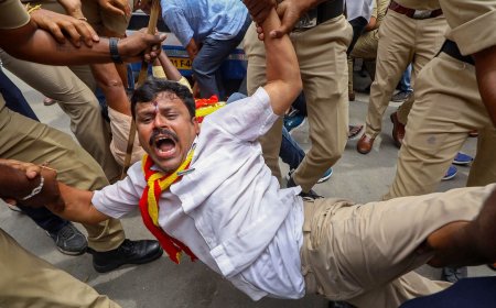 Bengaluru news: Farmers, pro-Kannada outfits stage protest in Mandya over Cauvery row