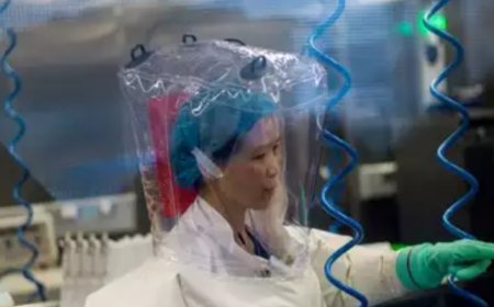 China’s ‘batwoman’ warns about another corona-type outbreak