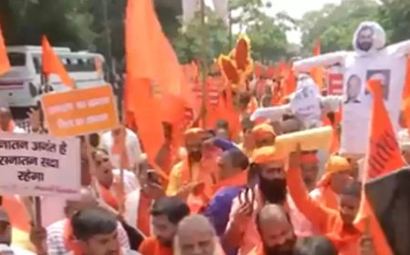 Sanatan Dharma row: Hindu saints stage protest in Delhi