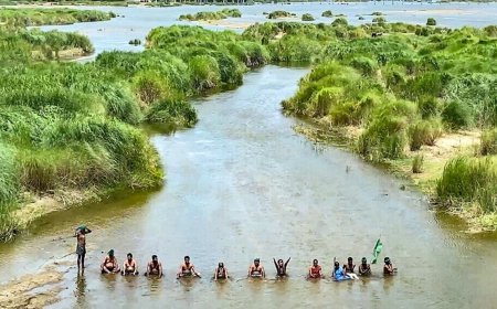 Bengaluru bandh today: Cauvery water dispute straining Karnataka-Tamil Nadu ties explained