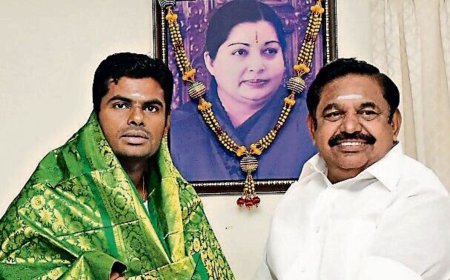 BJP's Annamalai breaks silence after AIADMK snaps alliance, says 'will give timely response'