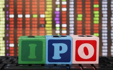 Capital Small Finance Bank, CJ Darcl Logistics file draft IPO papers with SEBI