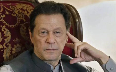 Imran Khan’s lawyer, PML-N Senator engage in fistfight on live TV