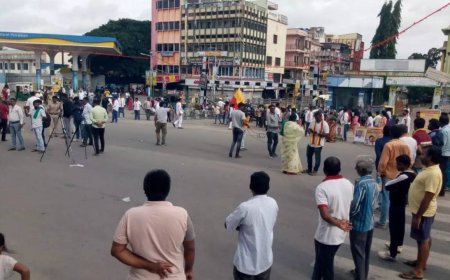 Karnataka bandh over Cauvery row: Key points