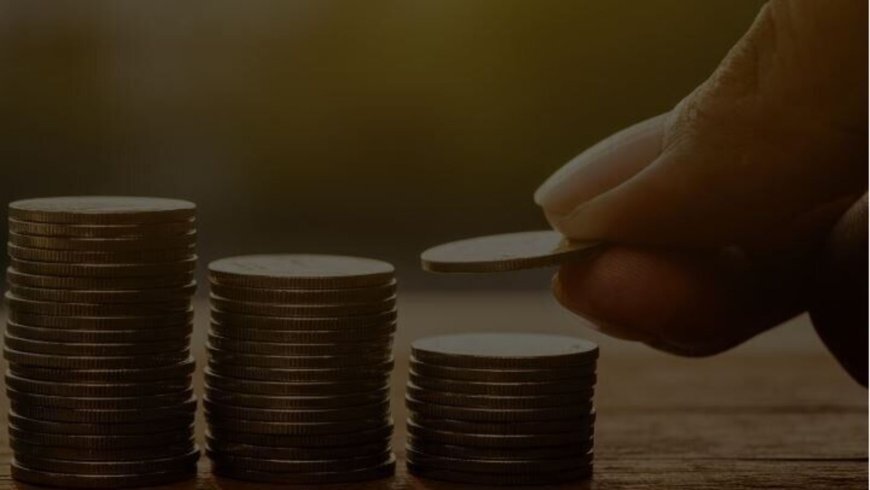 Basilic Fly Studio IPO opens today: GMP, subscription status, other details