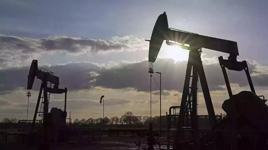 Why share of Russia crude in India's oil imports dipped in August