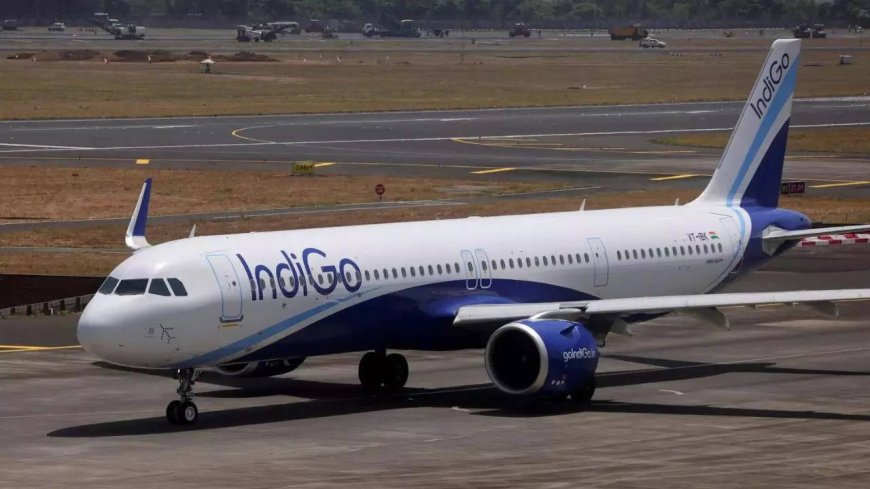 IndiGo flight returns to Bhubaneshwar over bird hit