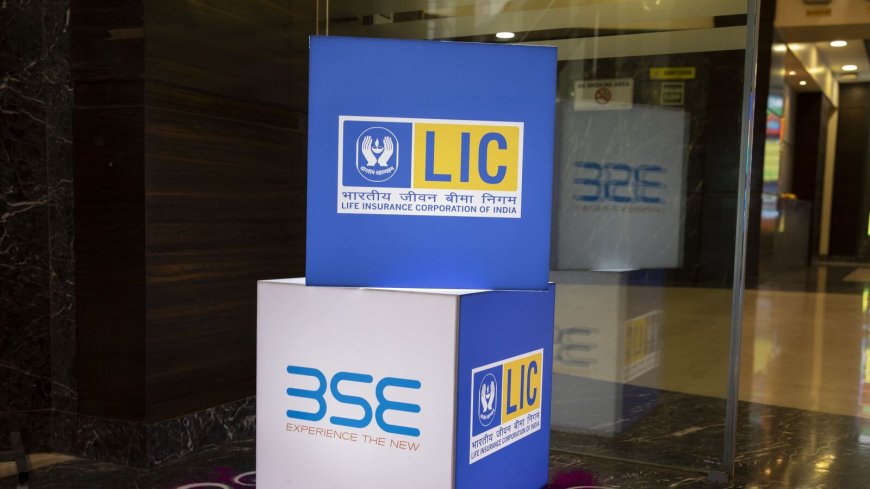 LIC's strategy shift helps reducing government borrowing costs: Report