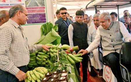 VP Jagdeep Dhankhar  visiting the Haryana Krishi Vikas Mela at C C S H A University