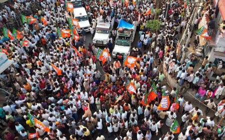 In charts: Story of polls, freebies and politics