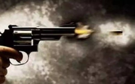 Netherlands: Three dead after shooting incident in Rotterdad, suspect arrested