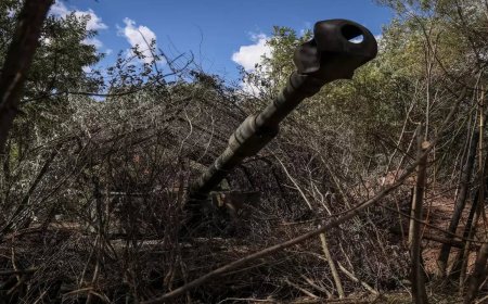 'It worked!' How Ukraine is using 'fake weapons' made of trash to scare off Russians