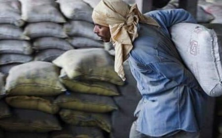 ACC, Ambuja, Shree Cement, UltraTech's share prices gain encouraged by Dalmia Bharat's better than expected Q2 results