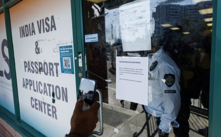 BLS International Services shares up for second straight session, gain 8%; here's why