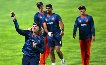 SA vs NED, ICC World Cup 2023 match today: When, where and how to watch, live-streaming details