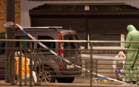 'I am fighter for Allah': ISIS-inspired gunman kills 2 Swedes in Brussels