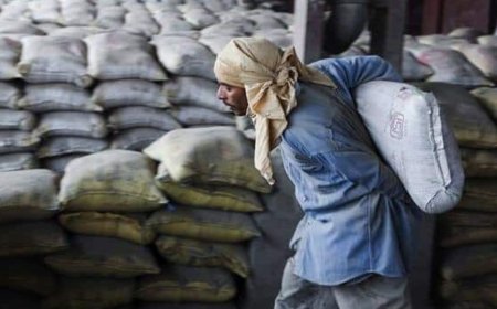 Orient Cement shares rally 14.5% on report CK Birla approached Gautam Adani for stake sale