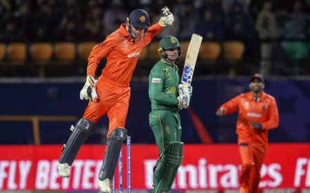 World Cup: Dutch targeting semis after upsetting SA?