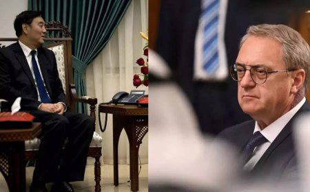 China's mideast envoy urges guarantees for Palestinians