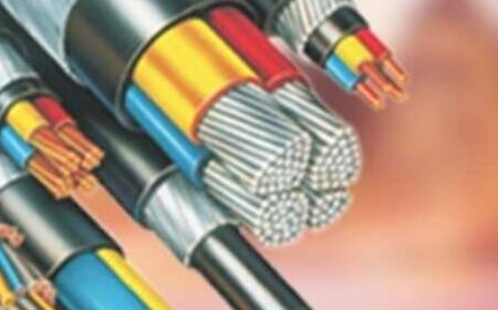 Q2 Results: Polycab may sustain growth momentum seen during Q2 and first half FY24. Analysts raise estimates