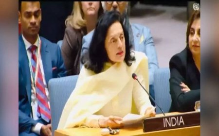 UNSC facing 'crisis of credibility', says India in renewed call for reform