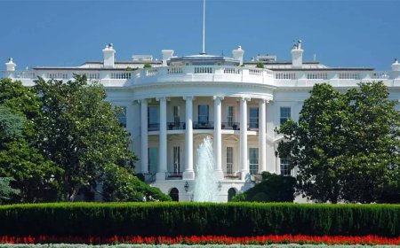 Gaza ceasefire 'only benefits Hamas': White House