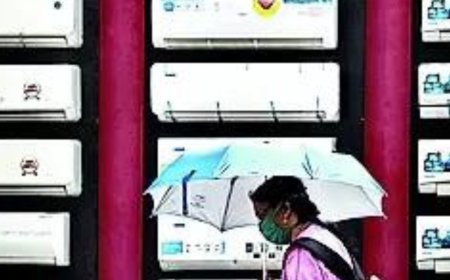 Substantial cut likely in India's CO2 emissions by 2050: IEA