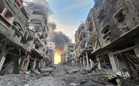 Israel is losing support as fury grows over its strikes on Gaza