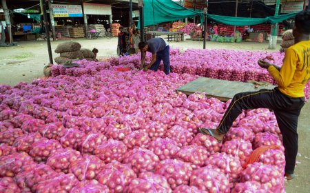 Mint Explainer: What is behind the surge in onion prices?