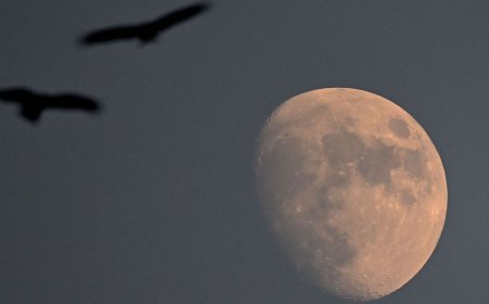 Lunar Eclipse 2023 Live Updates: Partial lunar eclipse to grace sky tonight. Know timings, how to watch